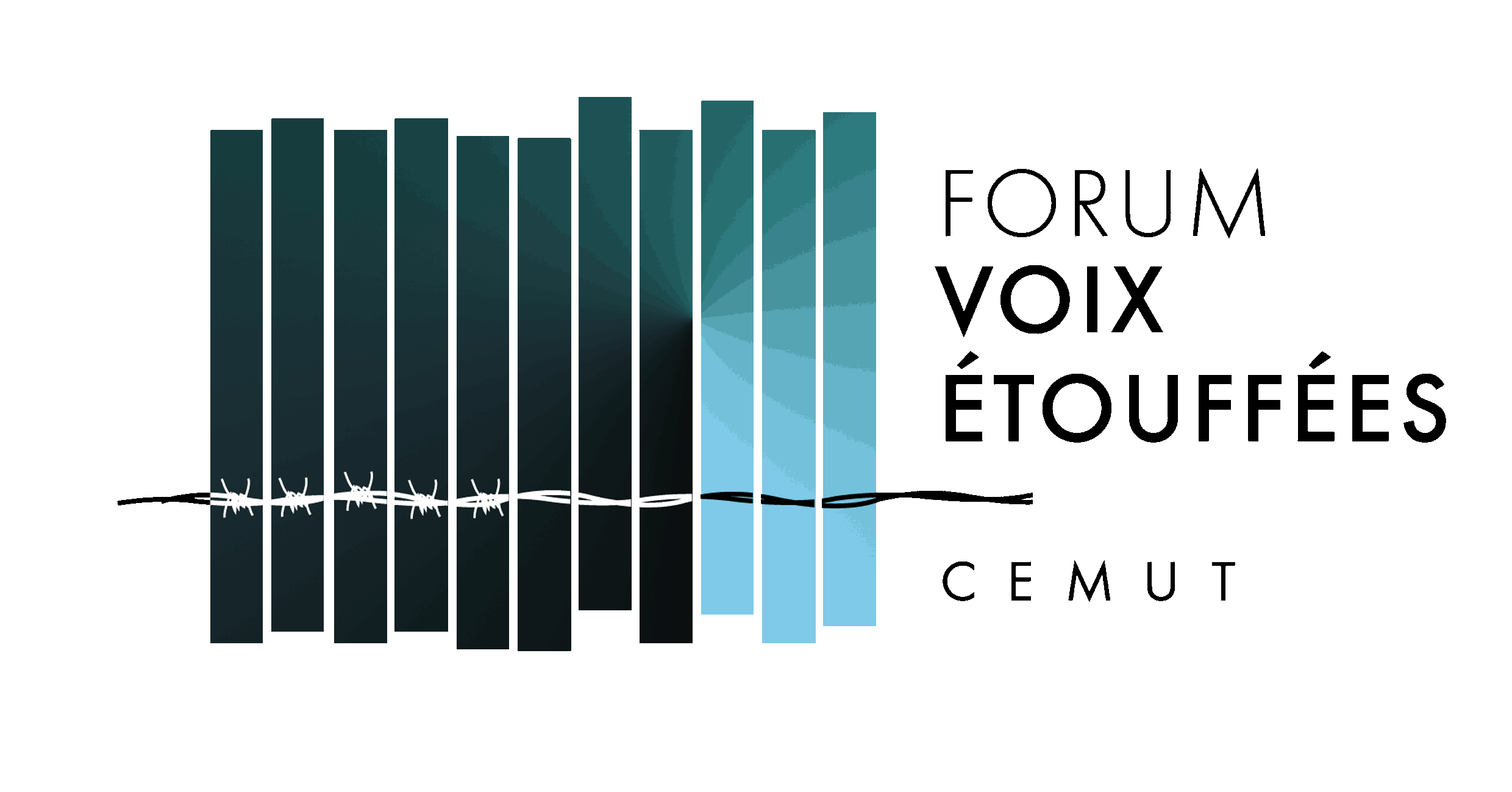 LOGO-FVE.gif